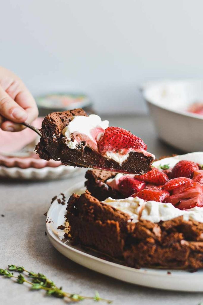Flourless Red Wine Chocolate Cake