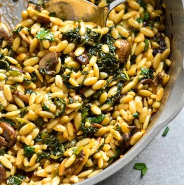 Cheesy Kale Mushroom Orzo