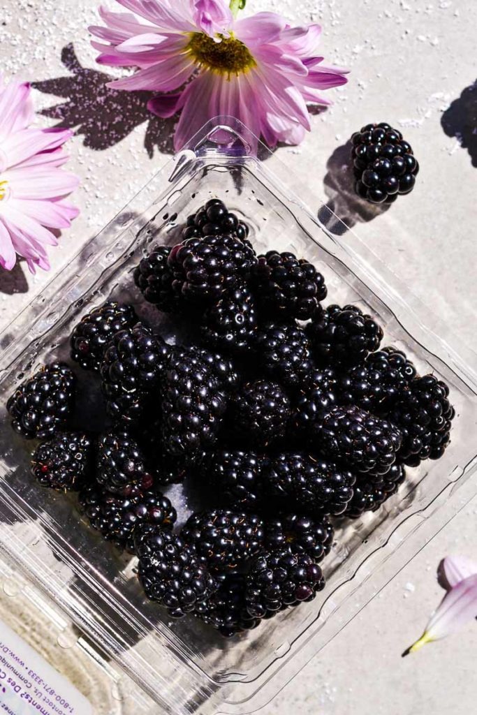 Elegant Blackberry Flaugnarde