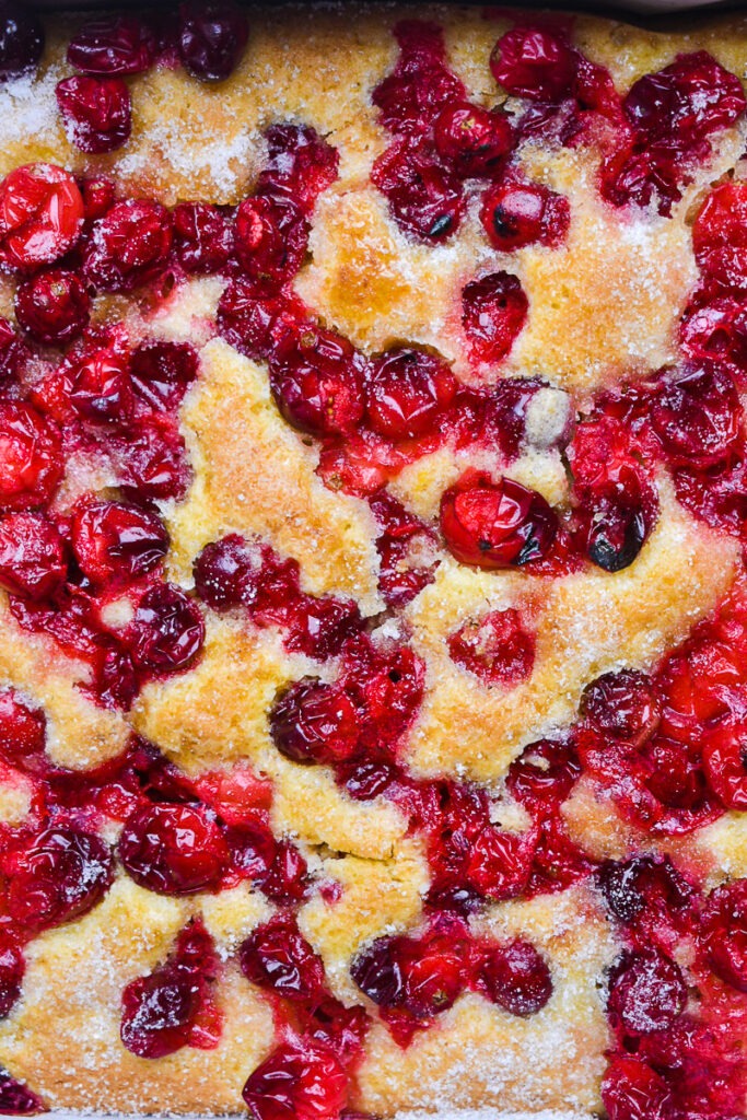 Cranberry Orange Torte