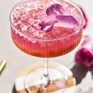 Rhubarb Gin and Tonic