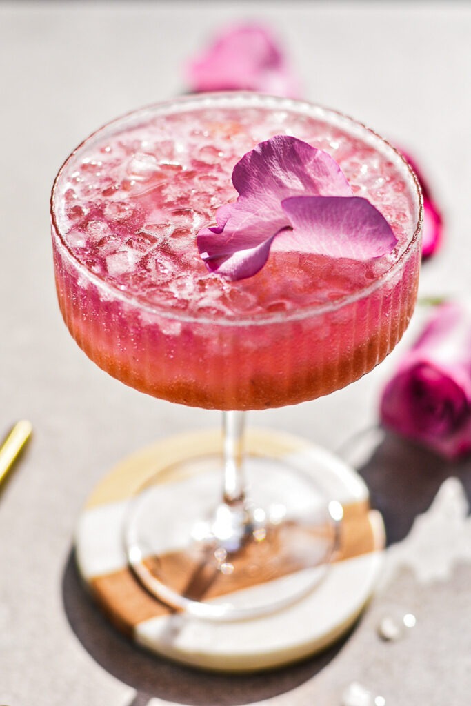 Rhubarb Gin and Tonic