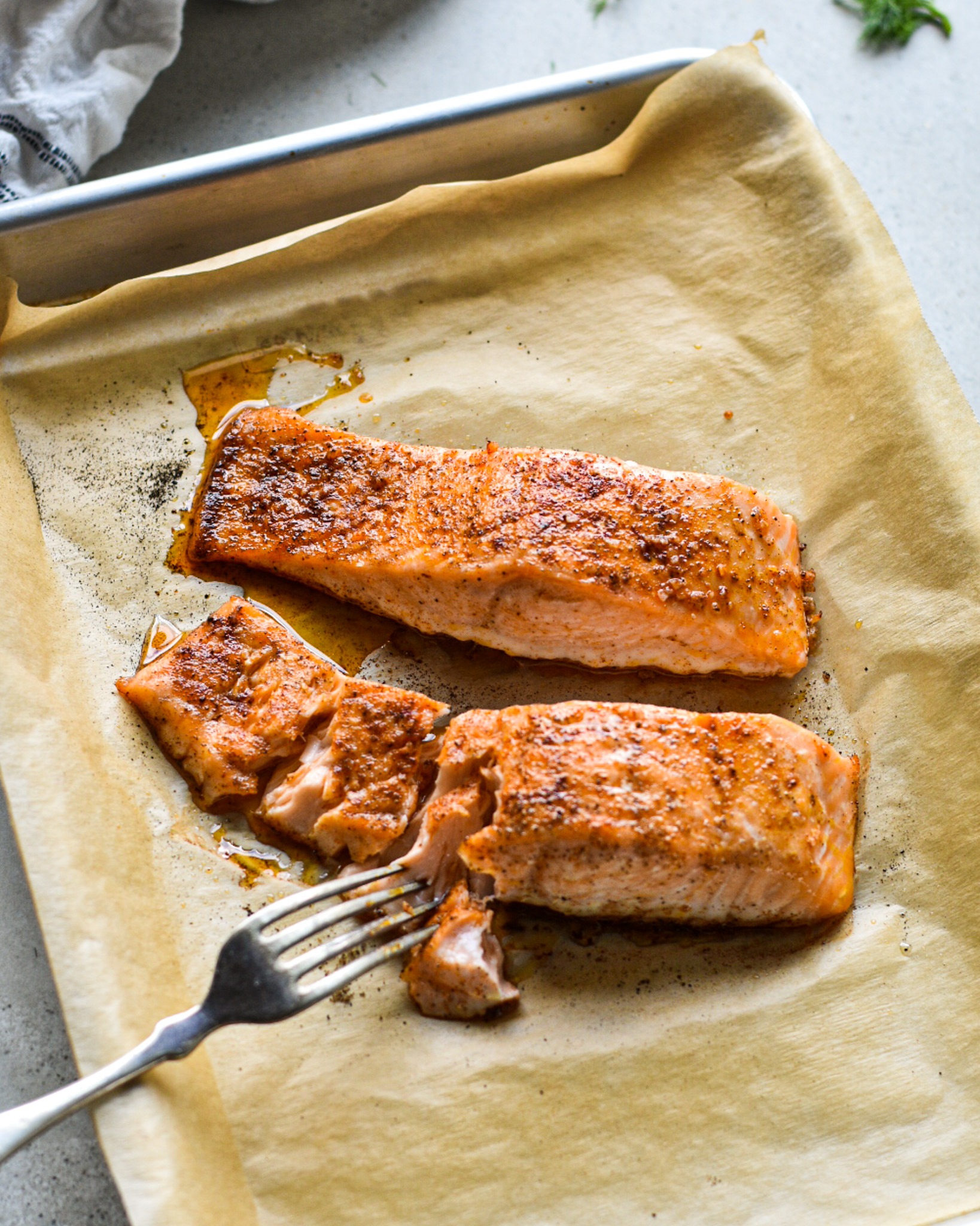Salmon