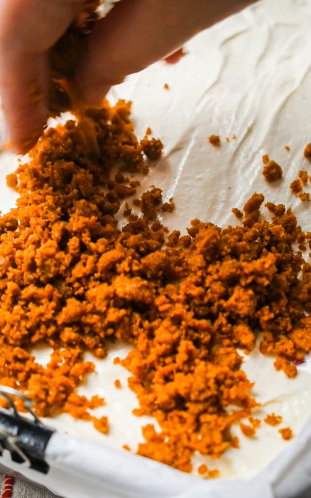 Biscoff cookie crumbs sprinkled on top of the final ice cream layer.