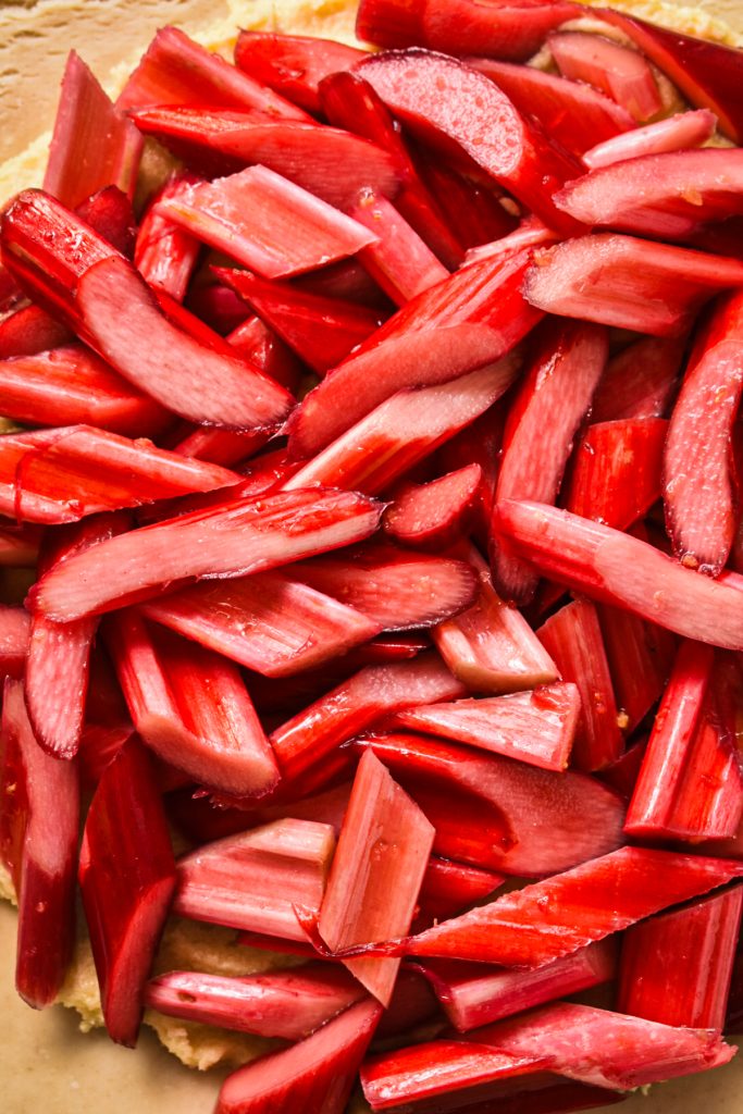 close up shot of freshly cut vibrant red rhubarb