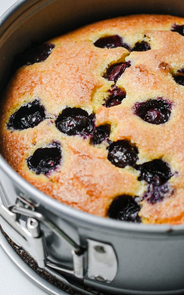 Lemon blueberry torte in the cake pan after being baked.